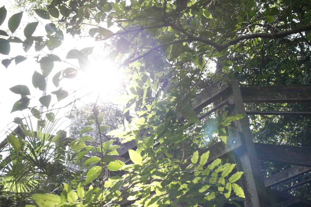 Thumb feb060ed 825a 482f 9cdc c034f1c1cd98