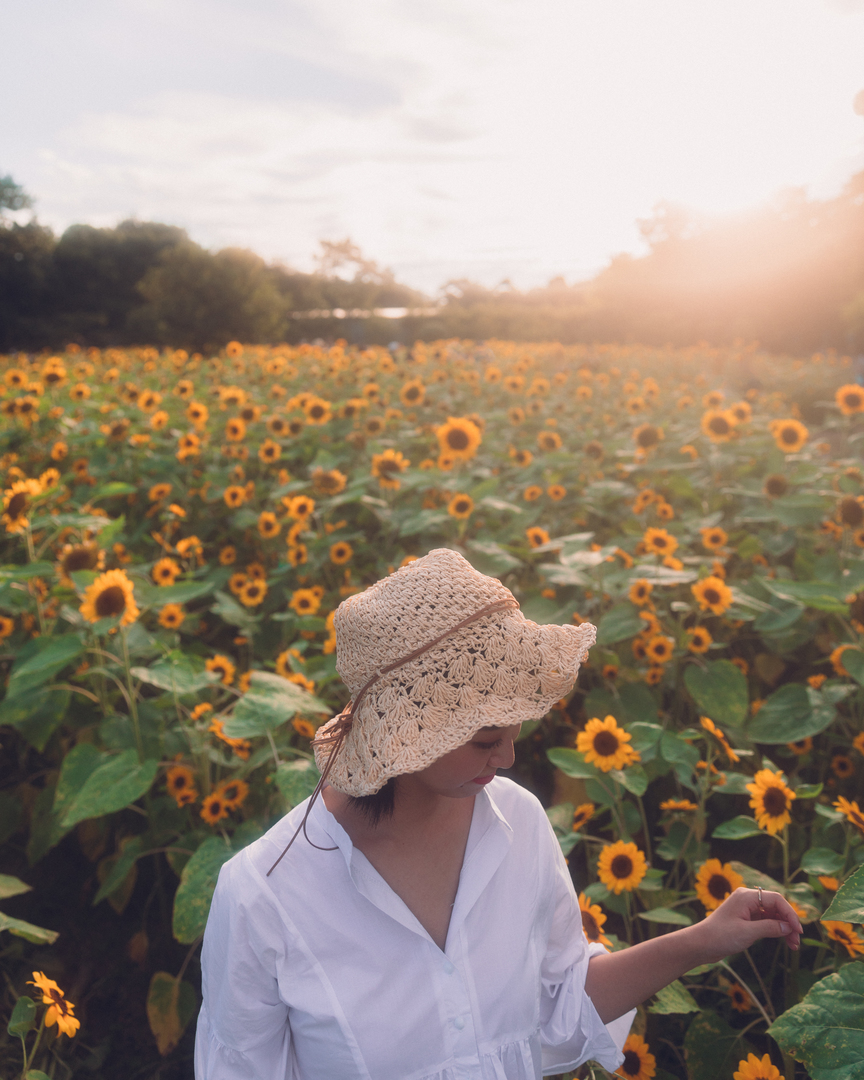 Thumb fc12695d 8c0c 428c a91c a071fe514d15