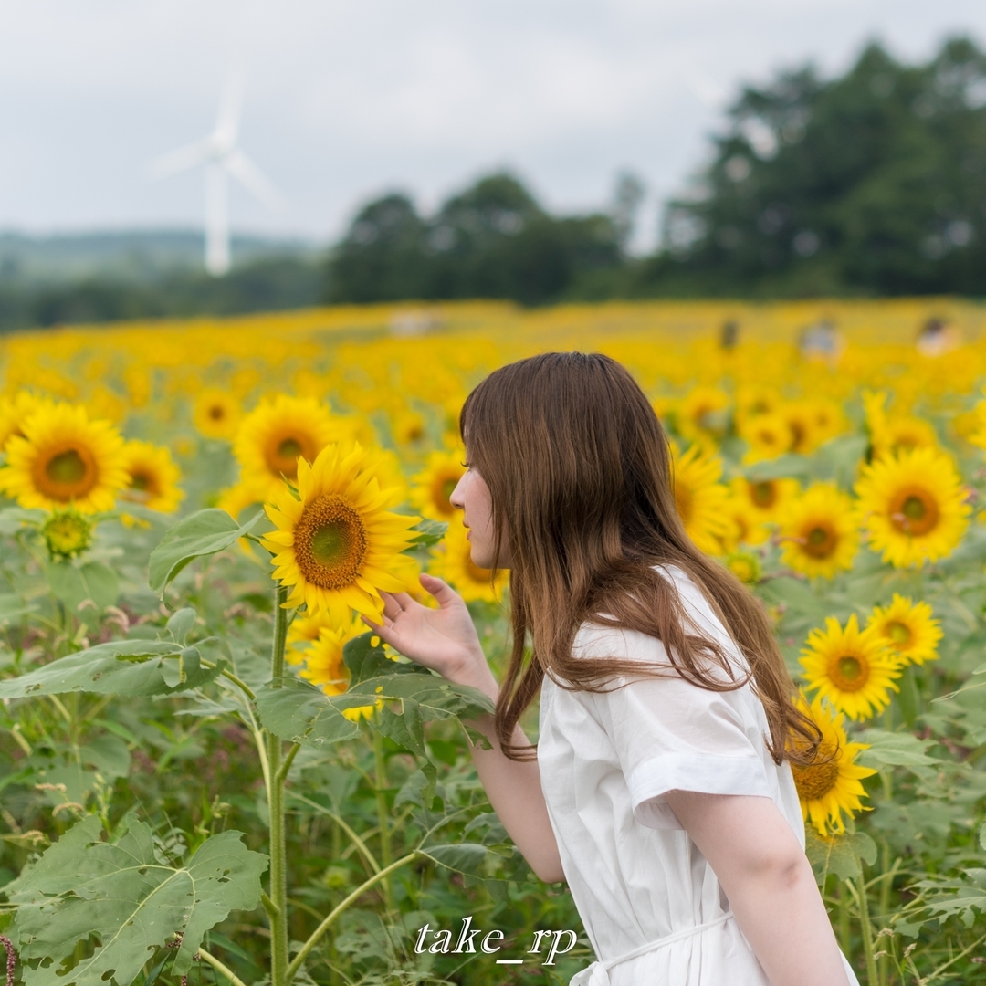 Thumb 7ee76f90 c5fc 4242 b468 055dc16d46e5