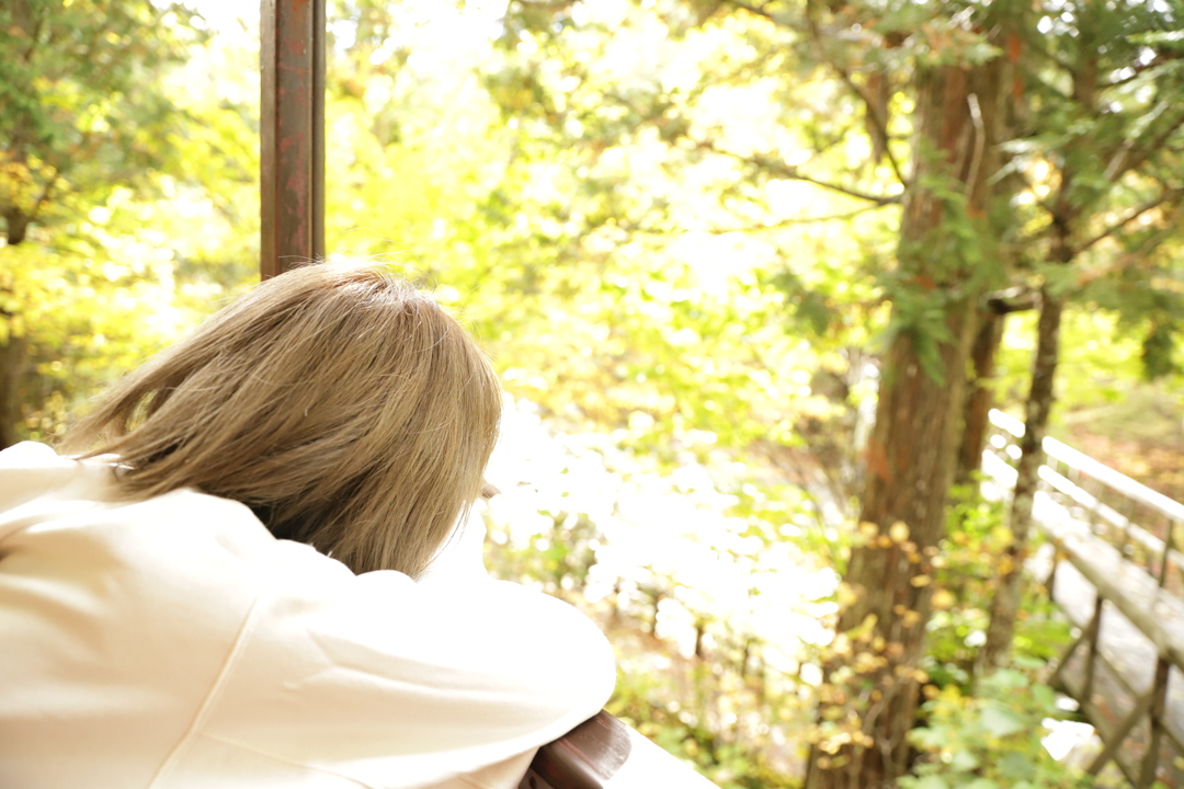 Thumb 8e78d31a f5d3 42e0 9dc3 edfafacbd292