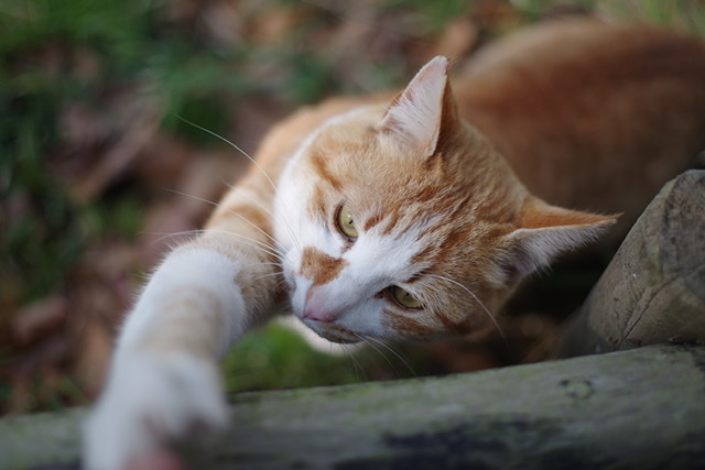 Thumb 2dc9f2bf 2c7f 40b7 97b4 2174d0f5d926