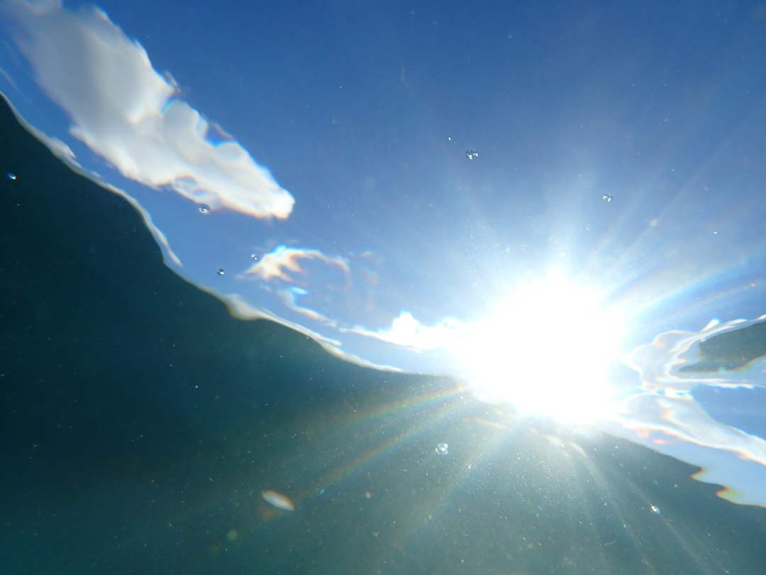 Thumb 8361047f 67ee 4a72 a031 c2ca84700746