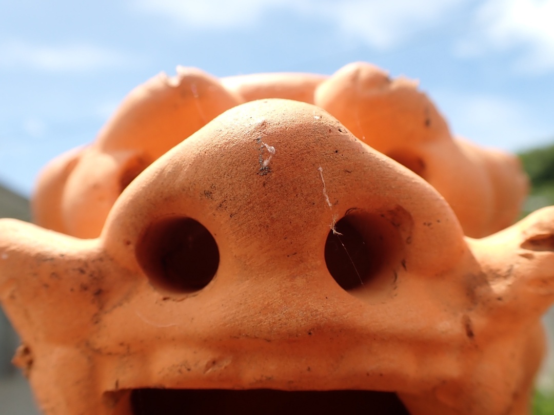 Thumb cb99090f 5b3a 452d 94ad 24003fce96a2