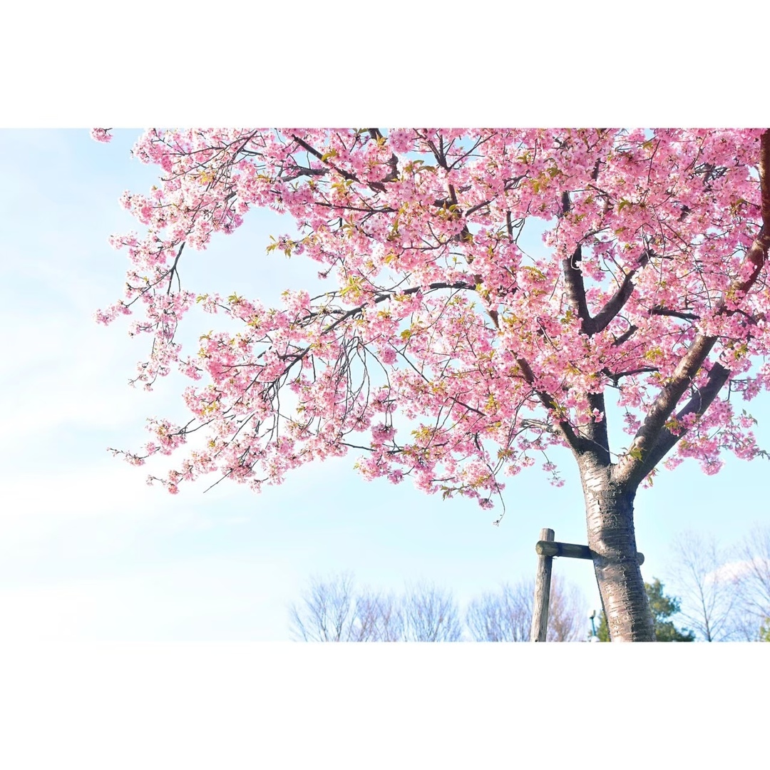 Thumb fab0da5a 859a 4086 ba38 06daa4c8c55b