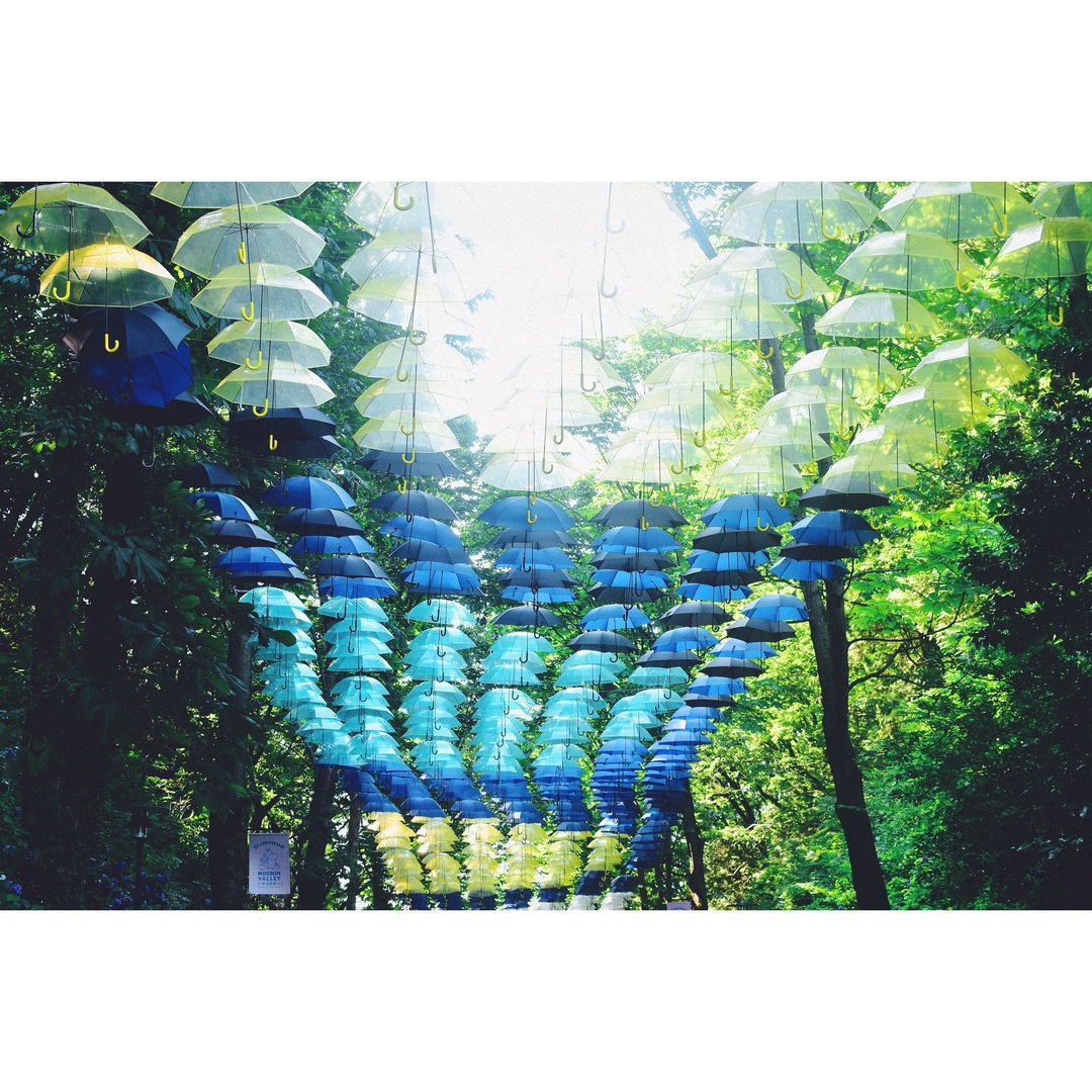 Thumb f06b0659 dd8b 4206 8848 b1049c4a4e7b