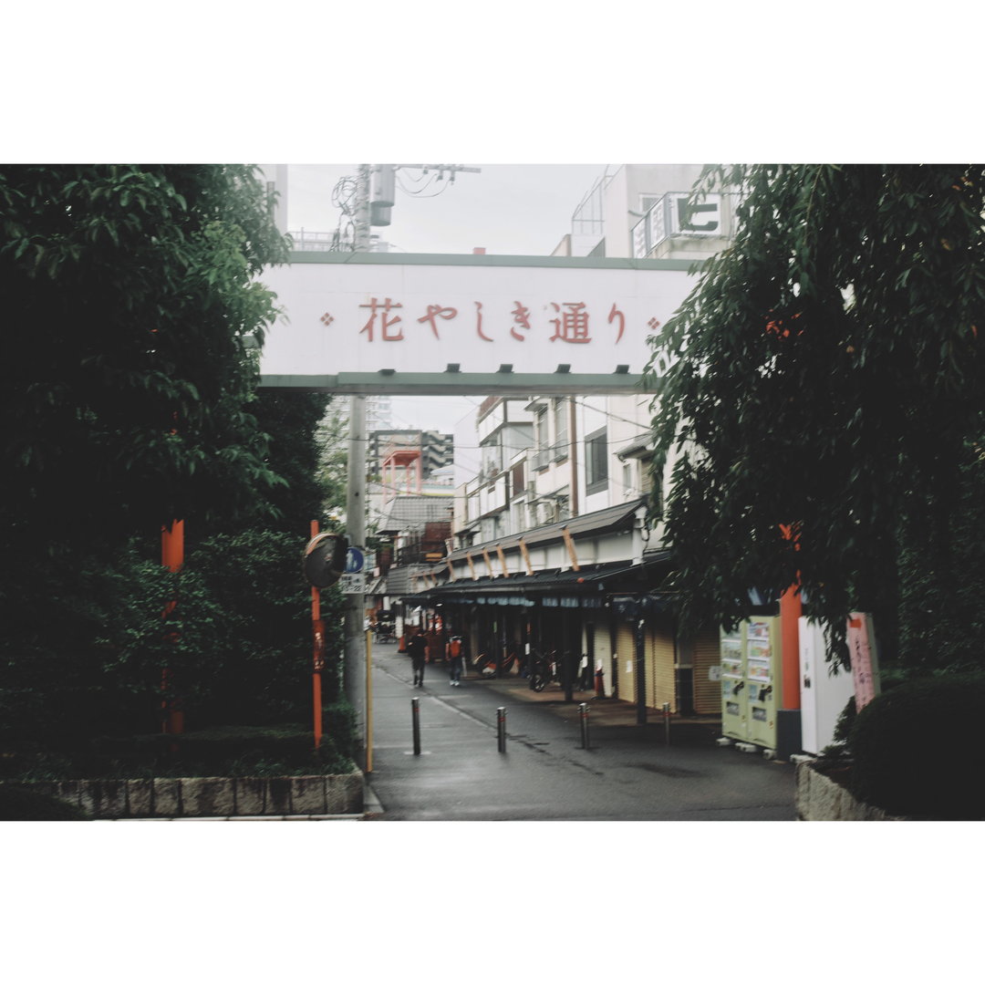 Thumb 5f7566ec 31f7 4807 966a fe3111bbc1fa