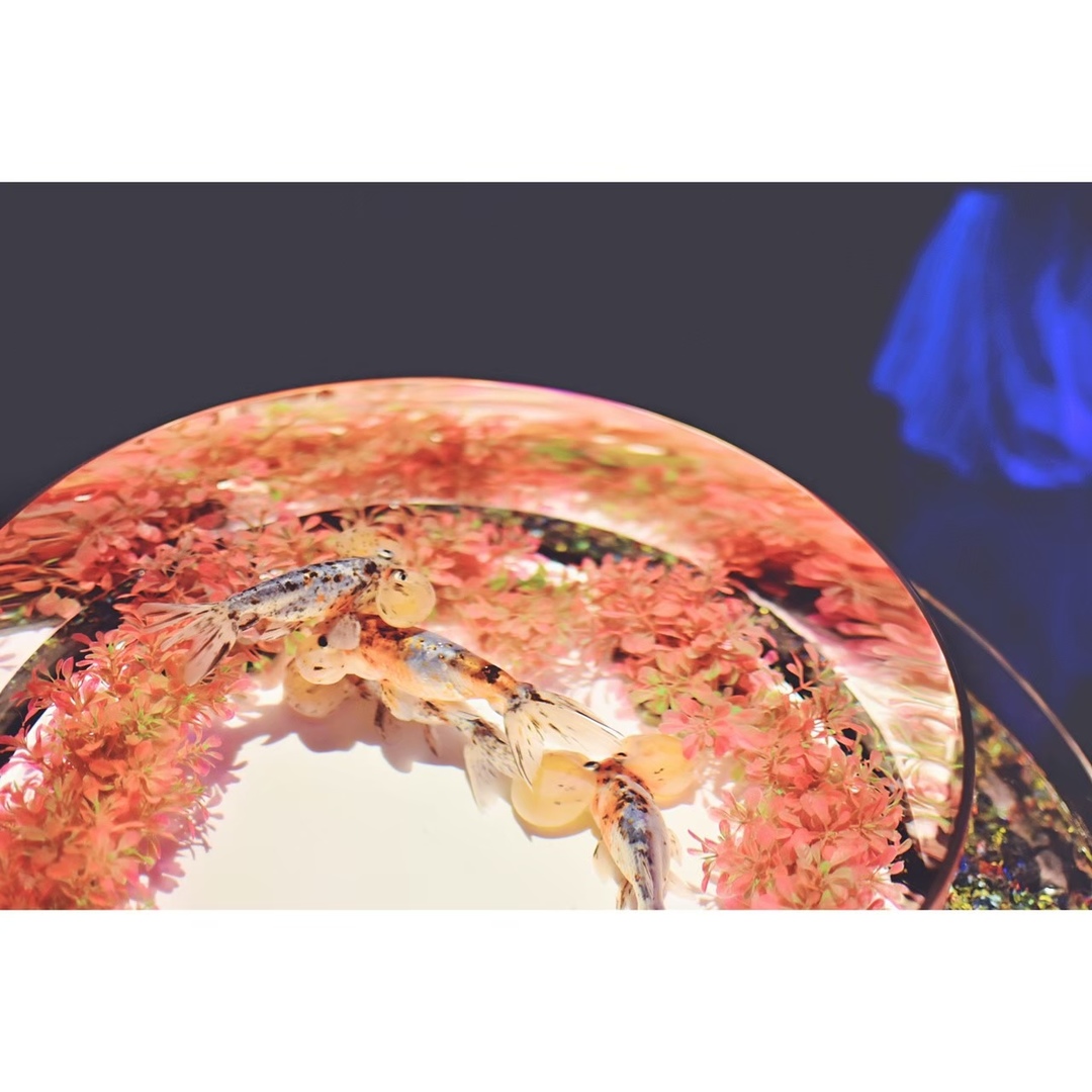 Thumb a0db238a 0fad 40df a7ed 77b330486729