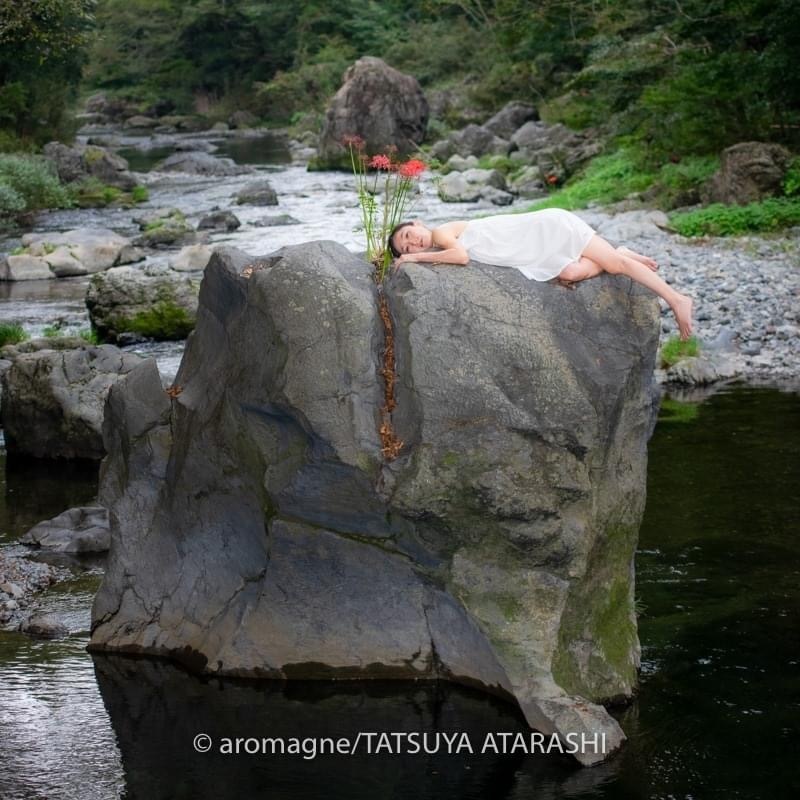 Thumb cf179c95 fae7 446d 9dc4 0c3cab25186c