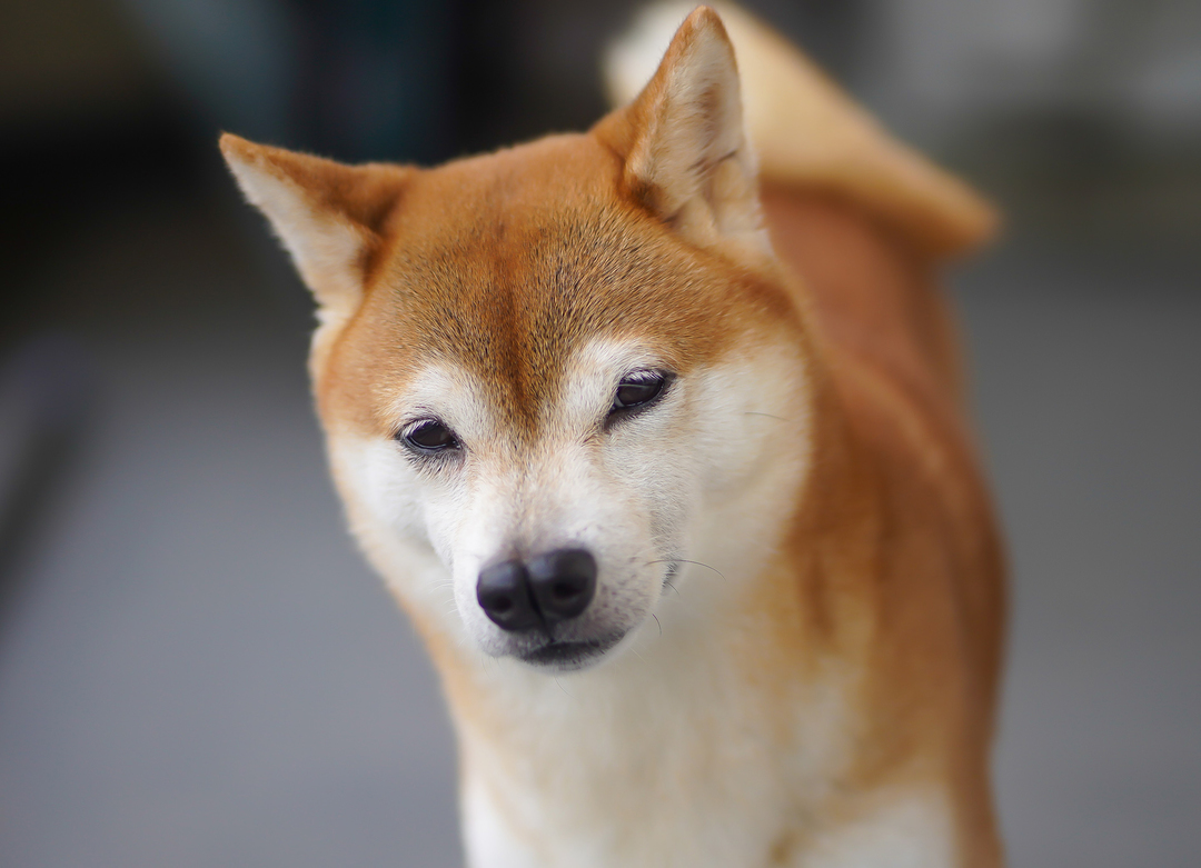 Thumb b66bbd1c 37df 4f54 8a28 dd72f320972b