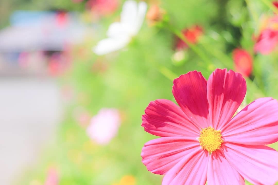 Thumb 11f97347 490a 44e4 84d6 406f88c32cf1