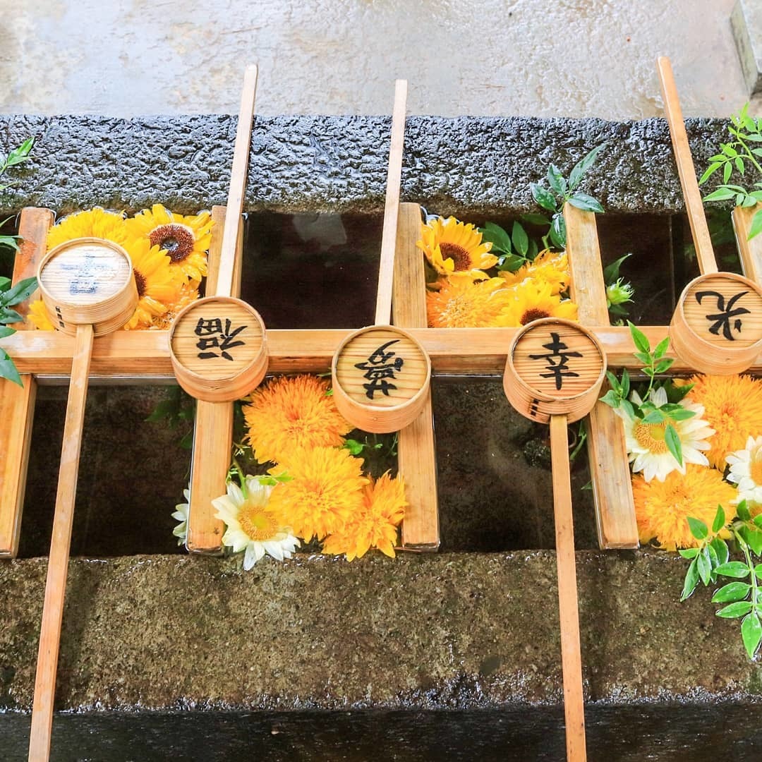 Thumb f85aedd1 b49f 4315 81ee 2b74a4460027