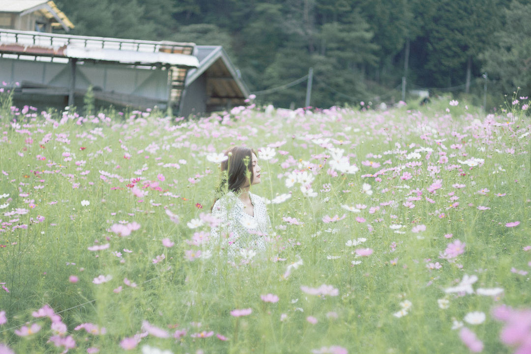 Thumb 16291cb9 de49 4f87 b89b f6d8b6579e6f