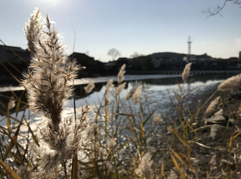 Thumb 513a3826 3d70 49ab a21b 93f15ed67349