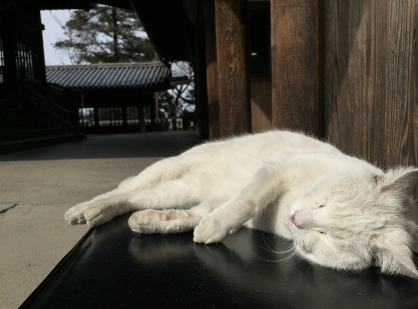 Thumb b5095e50 213f 4cfd 9cff 171d34445586