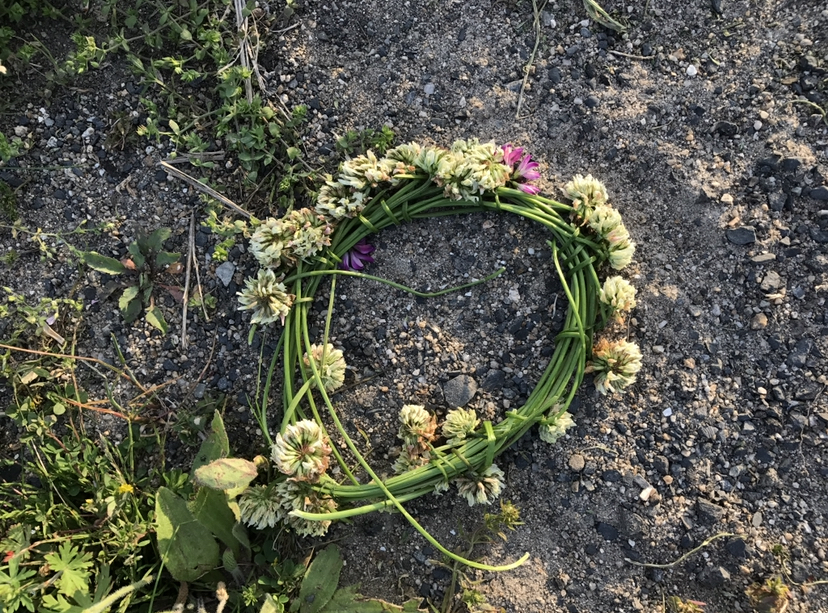 Thumb fb5c8252 b469 4bbf 9581 f66fdf3028e1