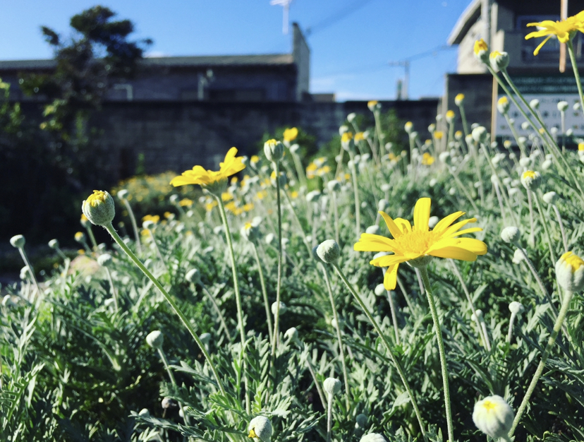 Thumb a2bc7042 8d79 4811 af04 d789e977bb2f