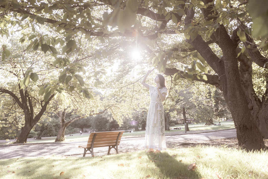 Thumb 3cf6534e ef52 4b15 bf39 ccc371c34cfe