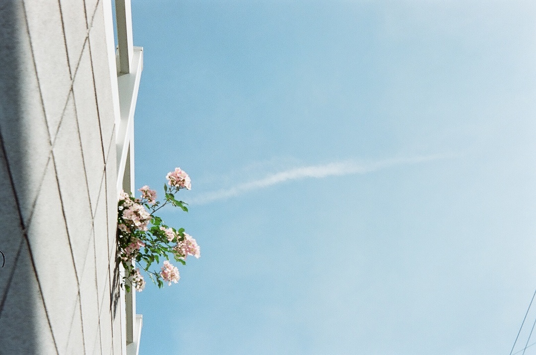 Thumb f4489cde 0f7c 4694 b115 f0142d6c567f