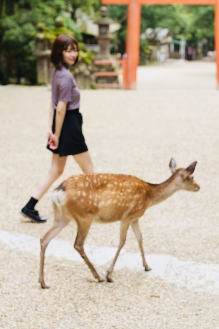 Thumb f7e6ee21 2a59 4e5a 9047 2662622d78ef