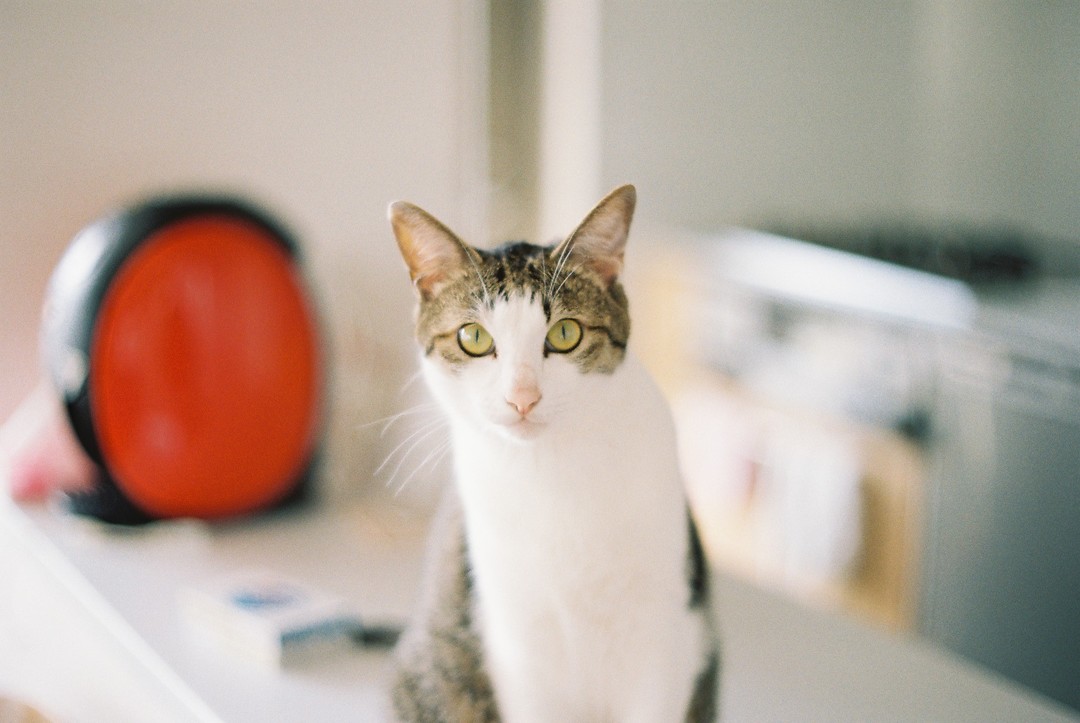 Thumb 8caab9aa e2af 4fe9 847a b2d59e34445e