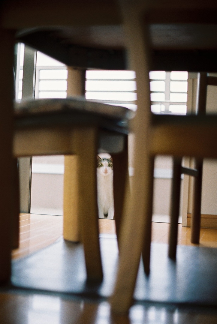 Thumb a15eda33 0dbd 404b 8d43 ea3f279a3af0