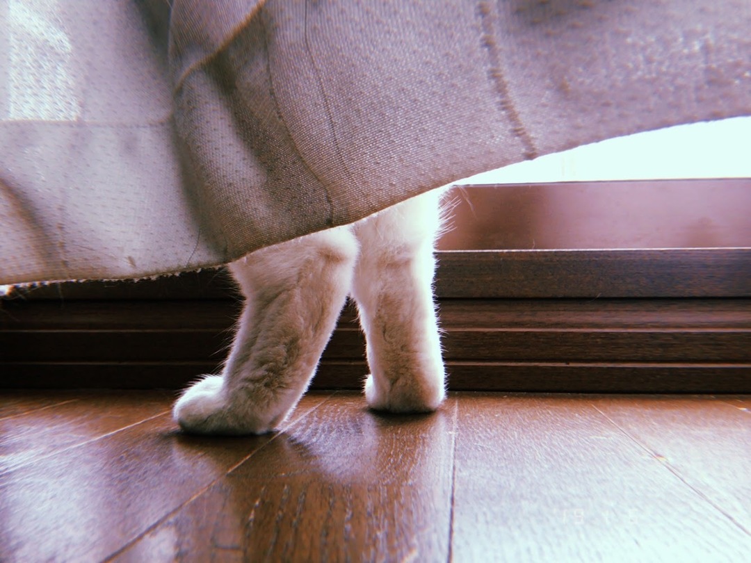 Thumb e15ea4cb d100 4781 8570 2c94ab96af69