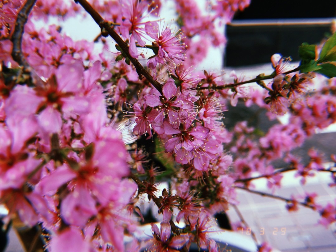 Thumb 7d92d939 ab6d 4e0a aca3 31061e85d2be