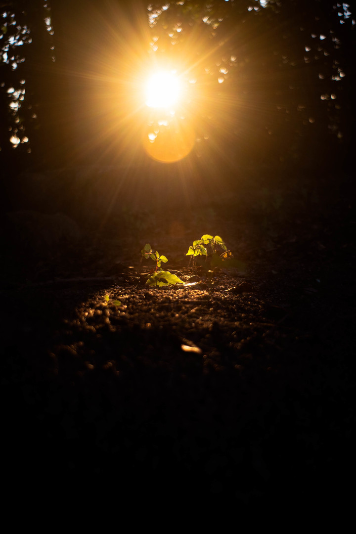 Thumb 8303122a b03a 41a6 a69f 80d8928cbcbd