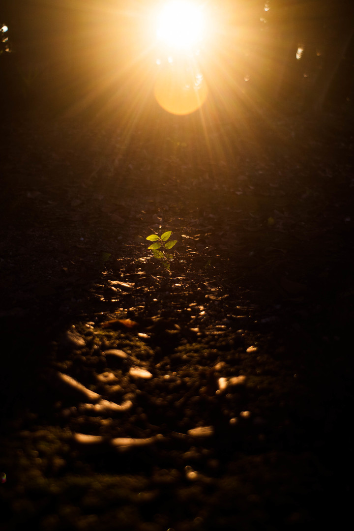 Thumb b7c80707 d581 494a 853d 56b91860849a