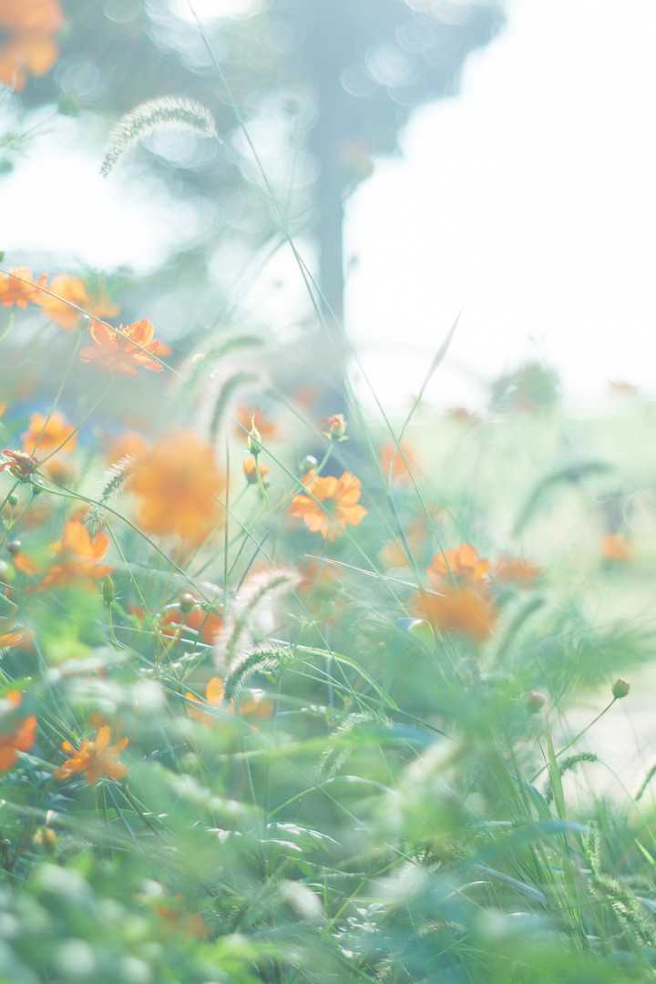 Thumb c63d2671 afef 4b5e 84ed 313617b556e0