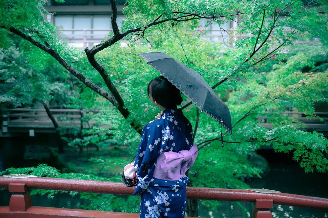 Thumb db852b9c 925c 48a1 87a3 32bc0b94dc69