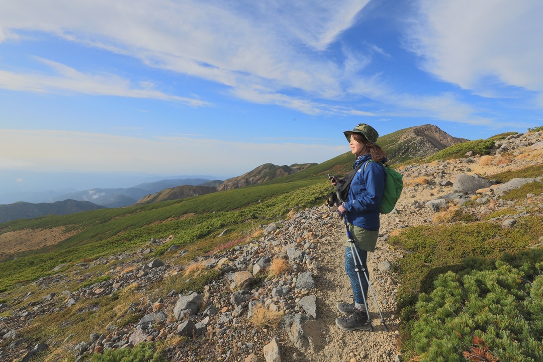 Thumb 0a4cfcbc a448 4645 8523 54176807f04e