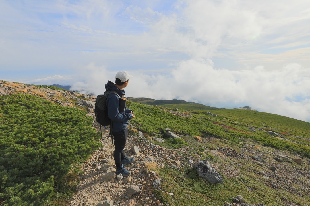 Thumb 1f4acfb2 3f57 4054 85d9 a4df527f4816