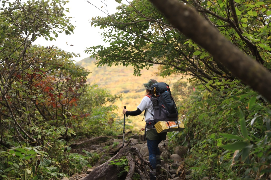 Thumb b9b55d1a a15a 4608 93fd b67a0bde4163