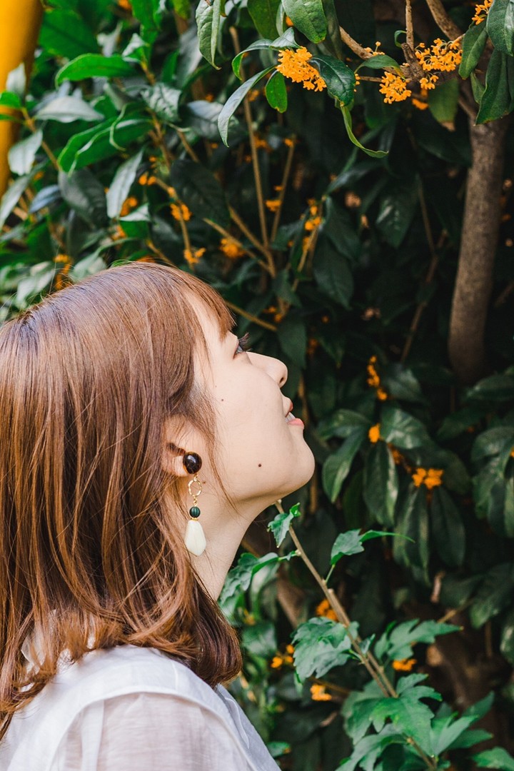 Thumb 33d9b3dd 1c4d 438c 848d 05242671bef0