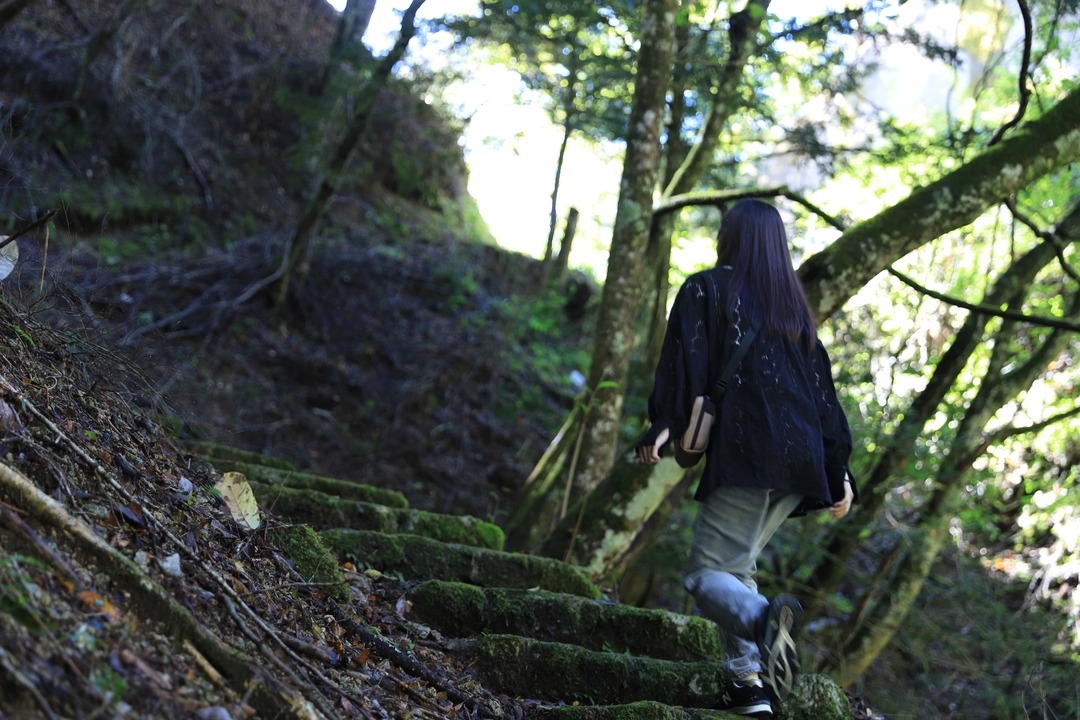 Thumb 43f5b8bf a8b7 4bd2 91e7 06a7c5794944