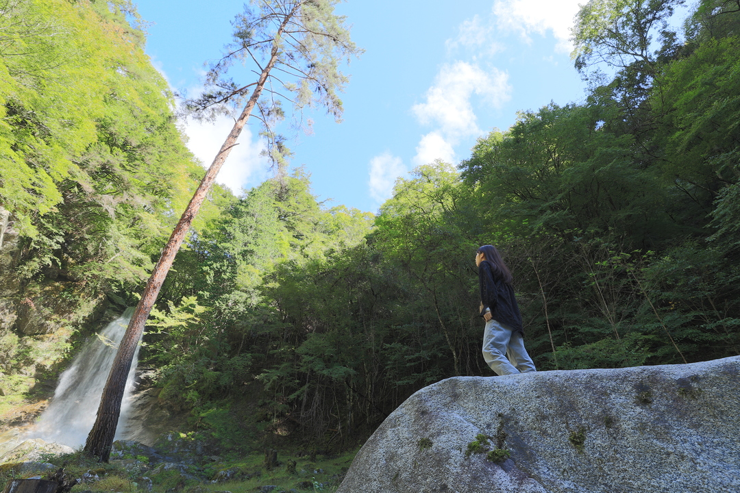 Thumb 75d5c6ec 9a3f 49cf b6b5 3428901e6bdd