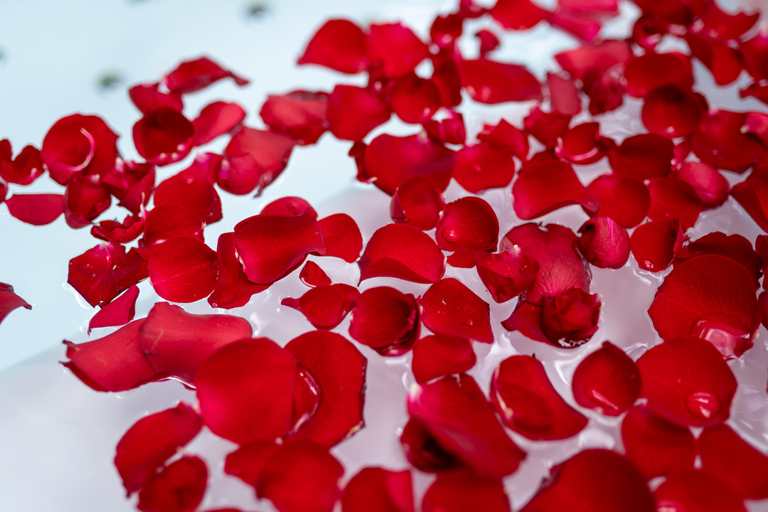 Thumb 65cdd60c cf66 4bb5 92c9 21b8ca39a0ea