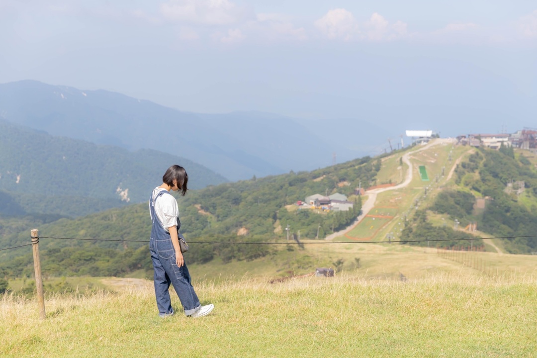 Thumb 33fee130 0391 4aa6 bf21 0b79a357ab39