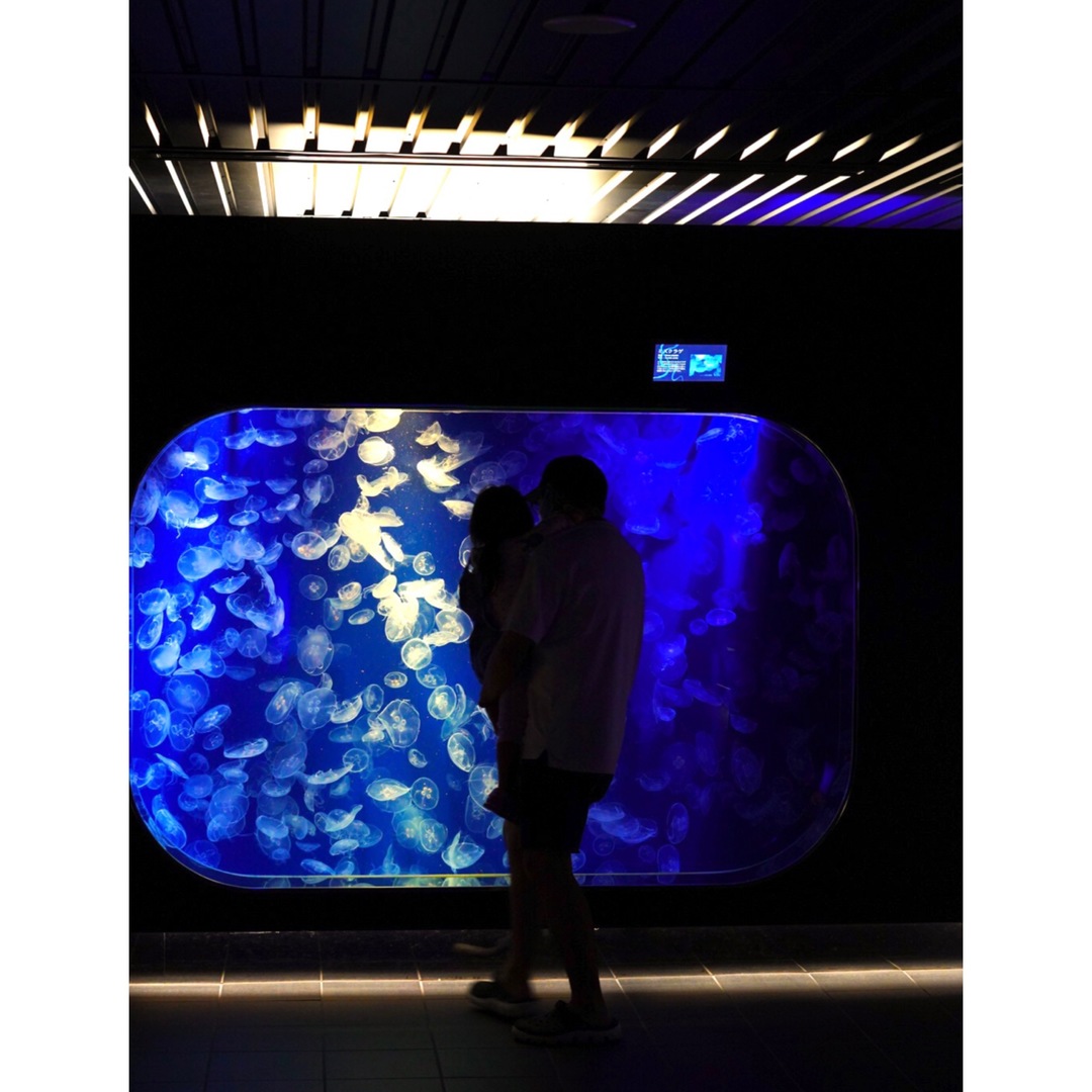 Thumb 1b5720d8 f45d 480a aa49 79ba296a82c8