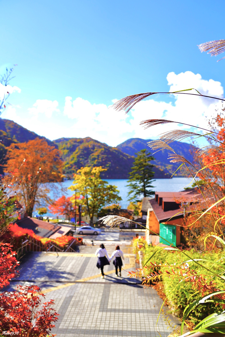 Thumb 68ae9bf3 5a35 4ff7 b052 696a80d95ea5