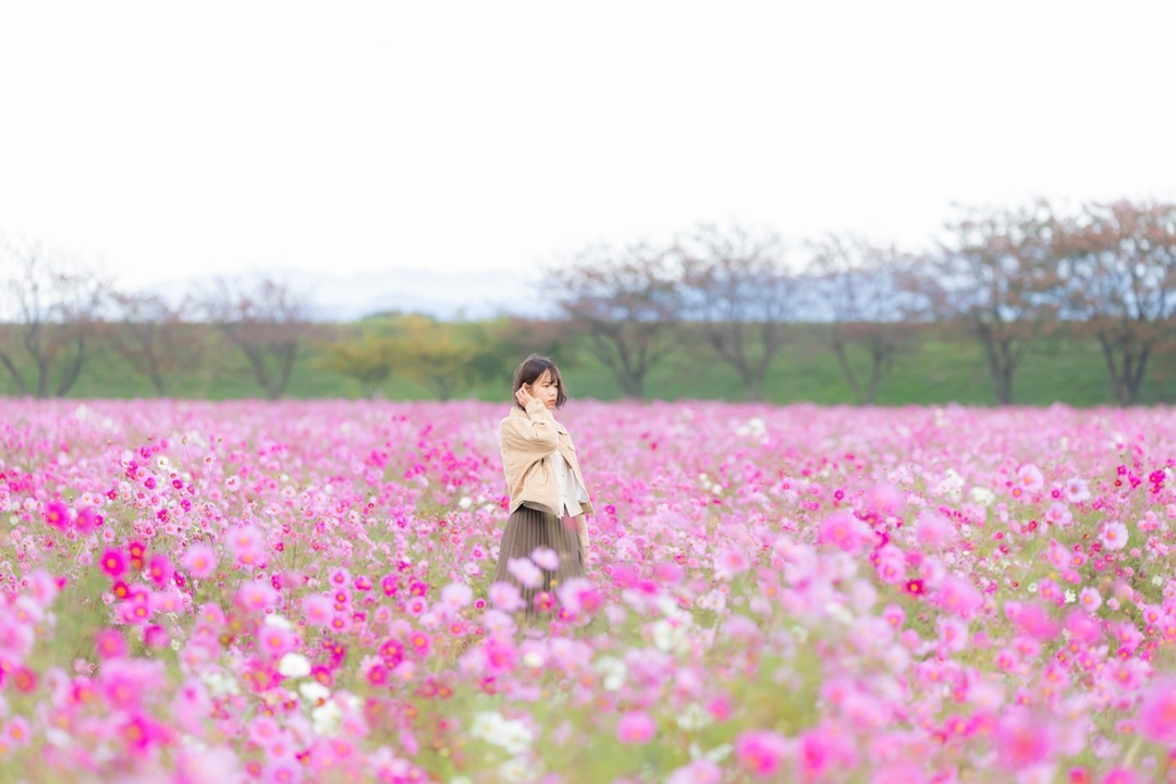 Thumb 1080b86d 1cc8 42c1 bbee 606bd8c33704