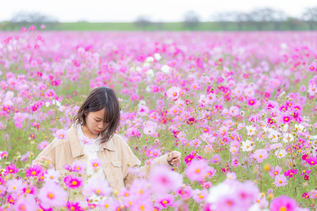 Thumb 4b6d65f8 bc13 4147 8aee ae8e9a4479e7