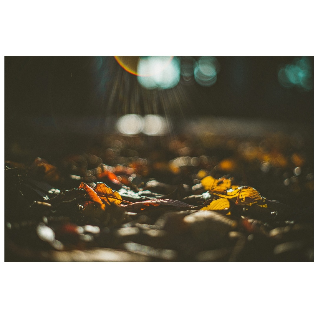 Thumb 1ecd6ce5 72b0 482d ac0a 1fe5c9667bc2