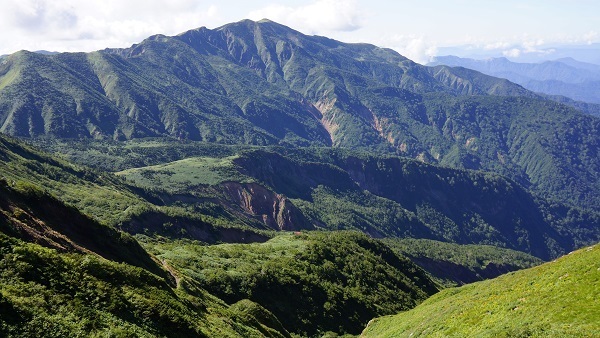 Thumb 0aa2b937 51cd 465b 8cb7 29b80754af38