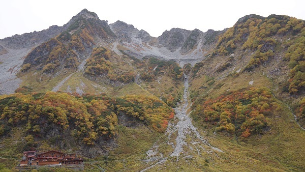 Thumb e74151a9 b38c 4d72 8d96 317ae7af0e69