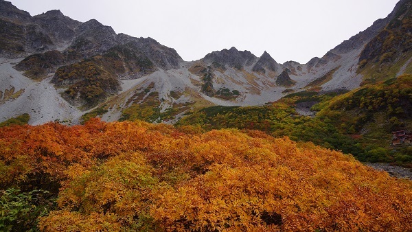 Thumb 7d0bcf0e de7b 405d 8c41 f686da2721e8