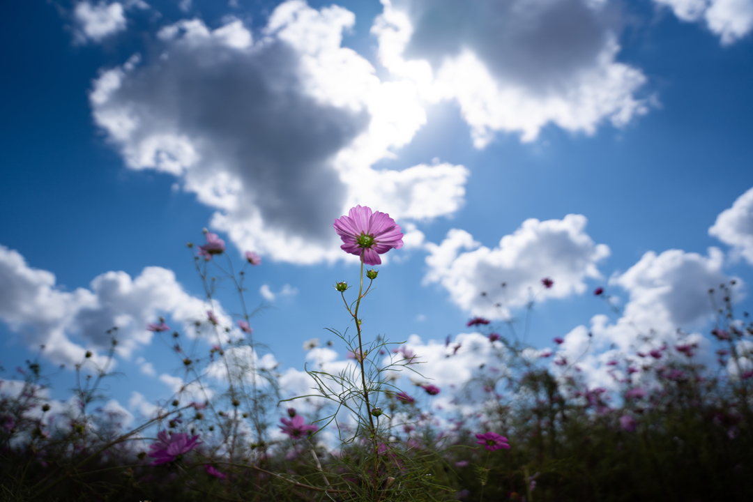 Thumb dd41f5c5 cc46 4257 baea 0b9ee11f3bb0