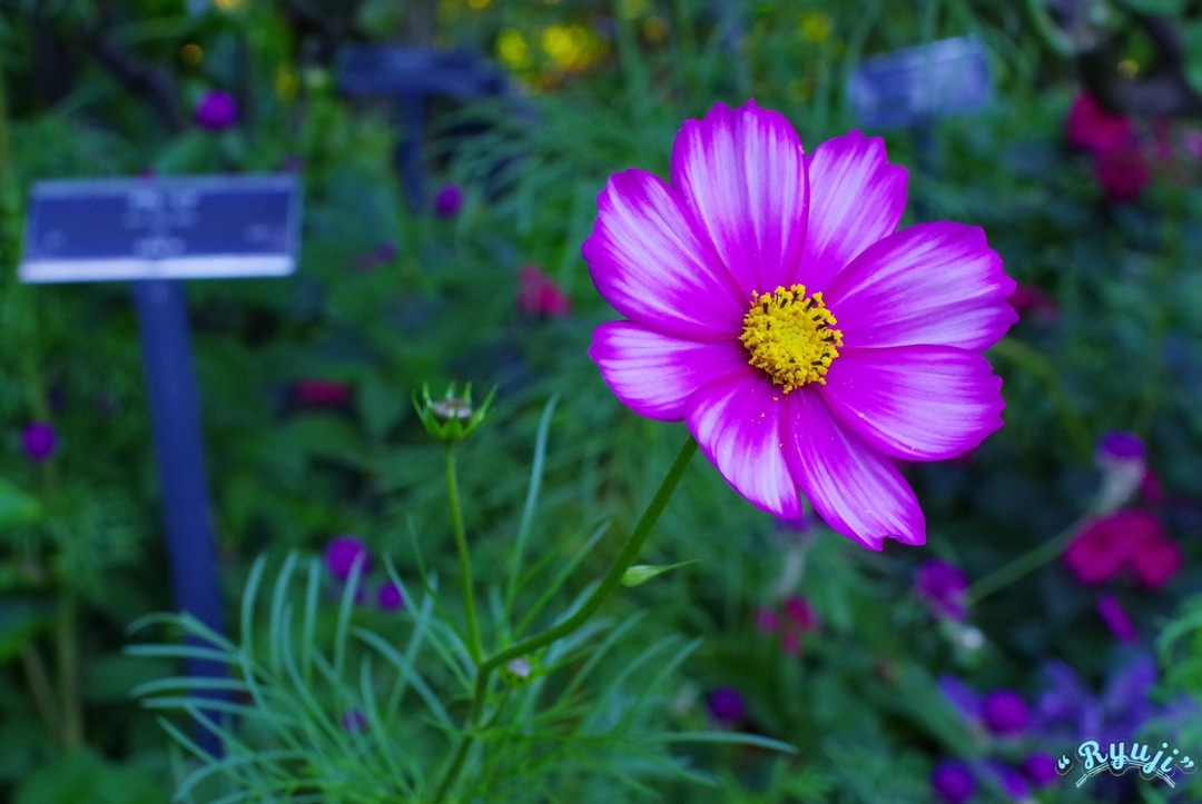 Thumb 5c18cb09 be3f 4690 b994 16c8227d77da