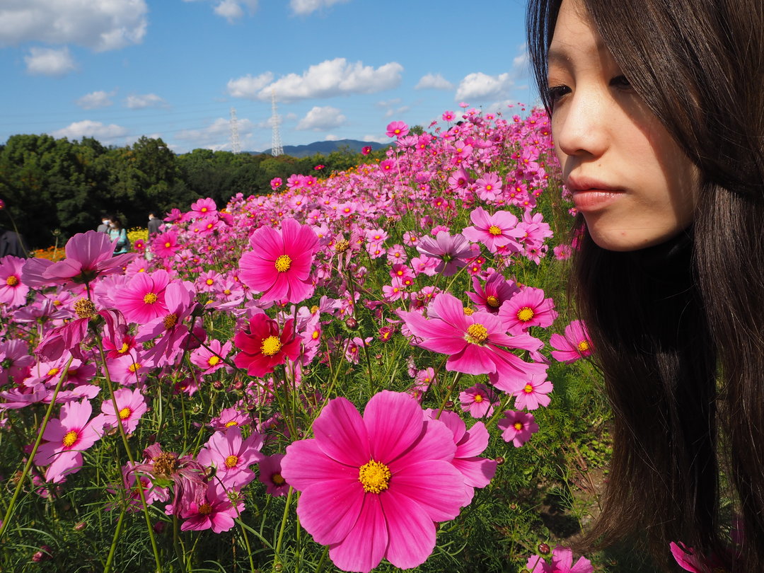 Thumb dc287aea f054 426b 8f20 50f95b8bf929